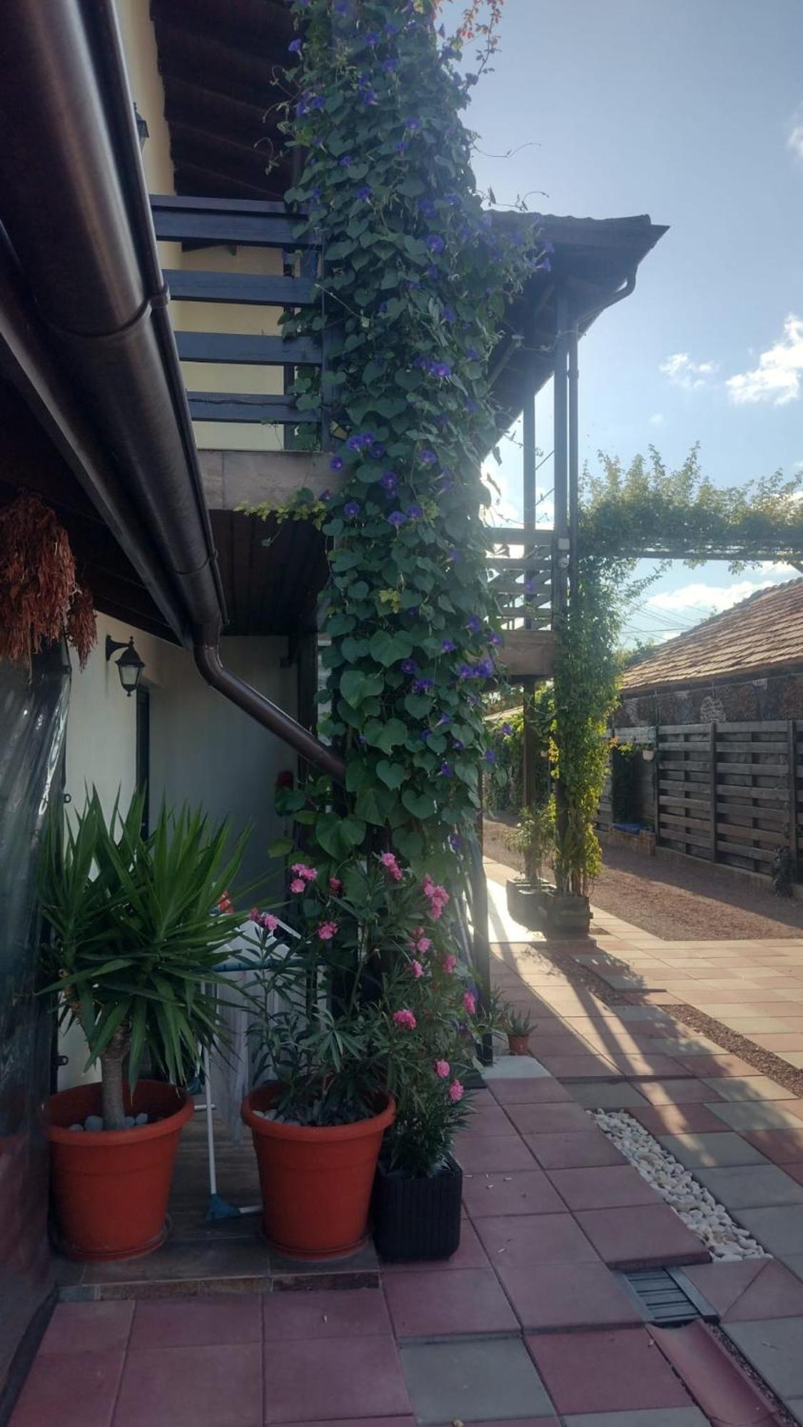 Casa Mura Două Mai Esterno foto